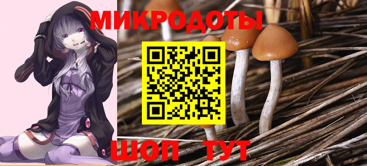Псилоцибиновые грибы прущие грибы  Галлюциногенные грибы мицелий  Черемхово  Вход с VPN 