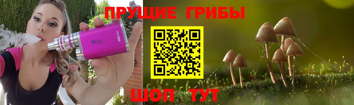 Псилоцибиновые грибы MAGIC MUSHROOMS Черемхово